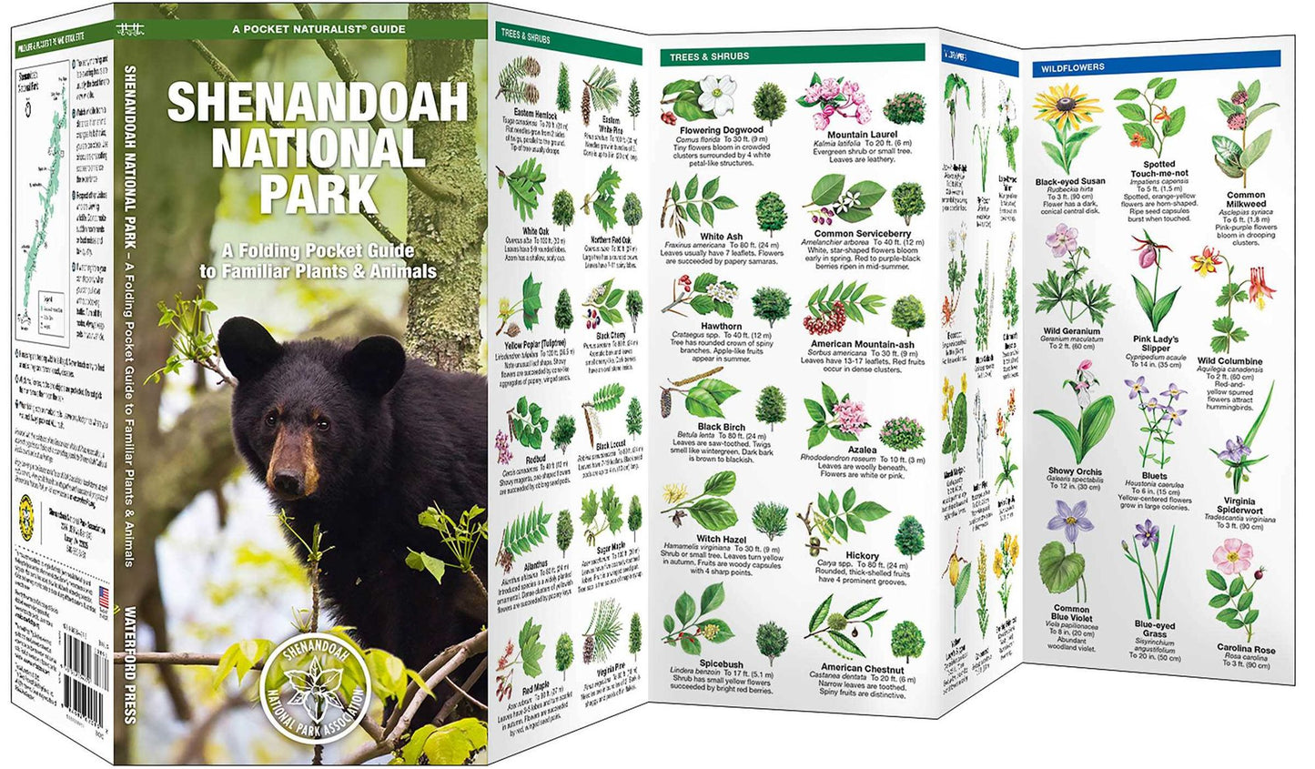 Shenandoah National Park: An Introduction to Familiar Plants & Animals
