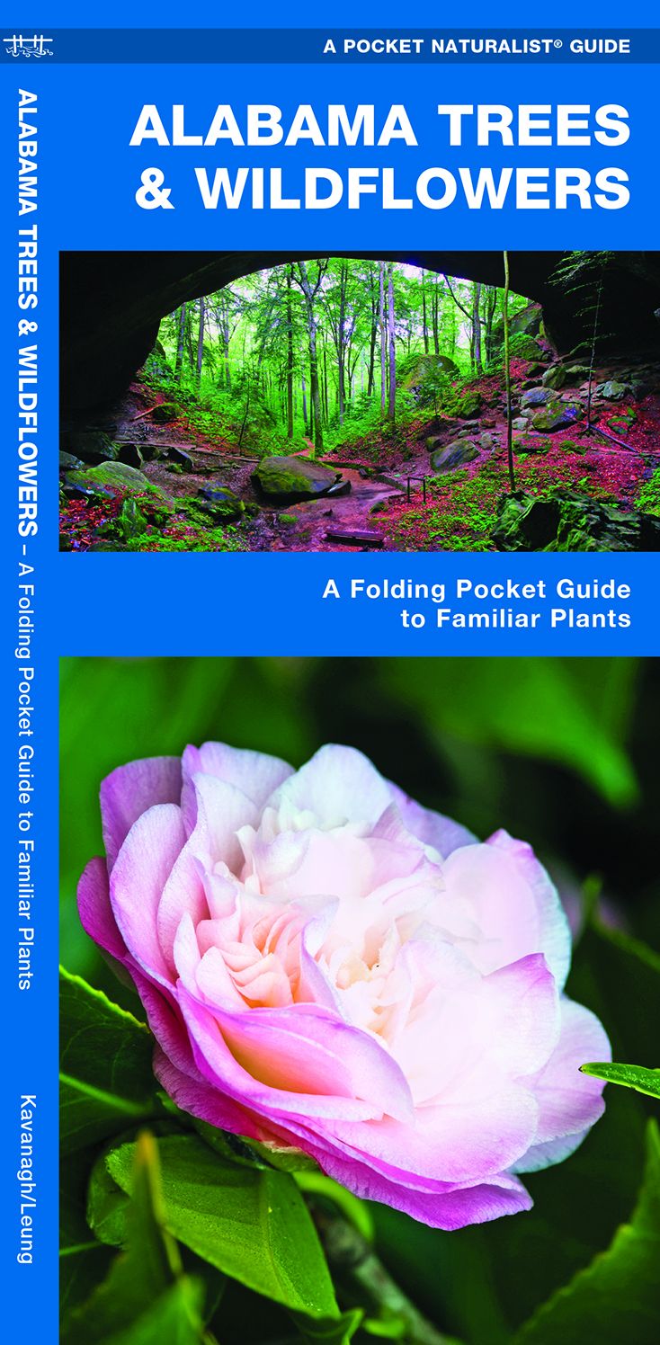 Alabama Trees & Wildflowers: An Introduction to Familiar Species