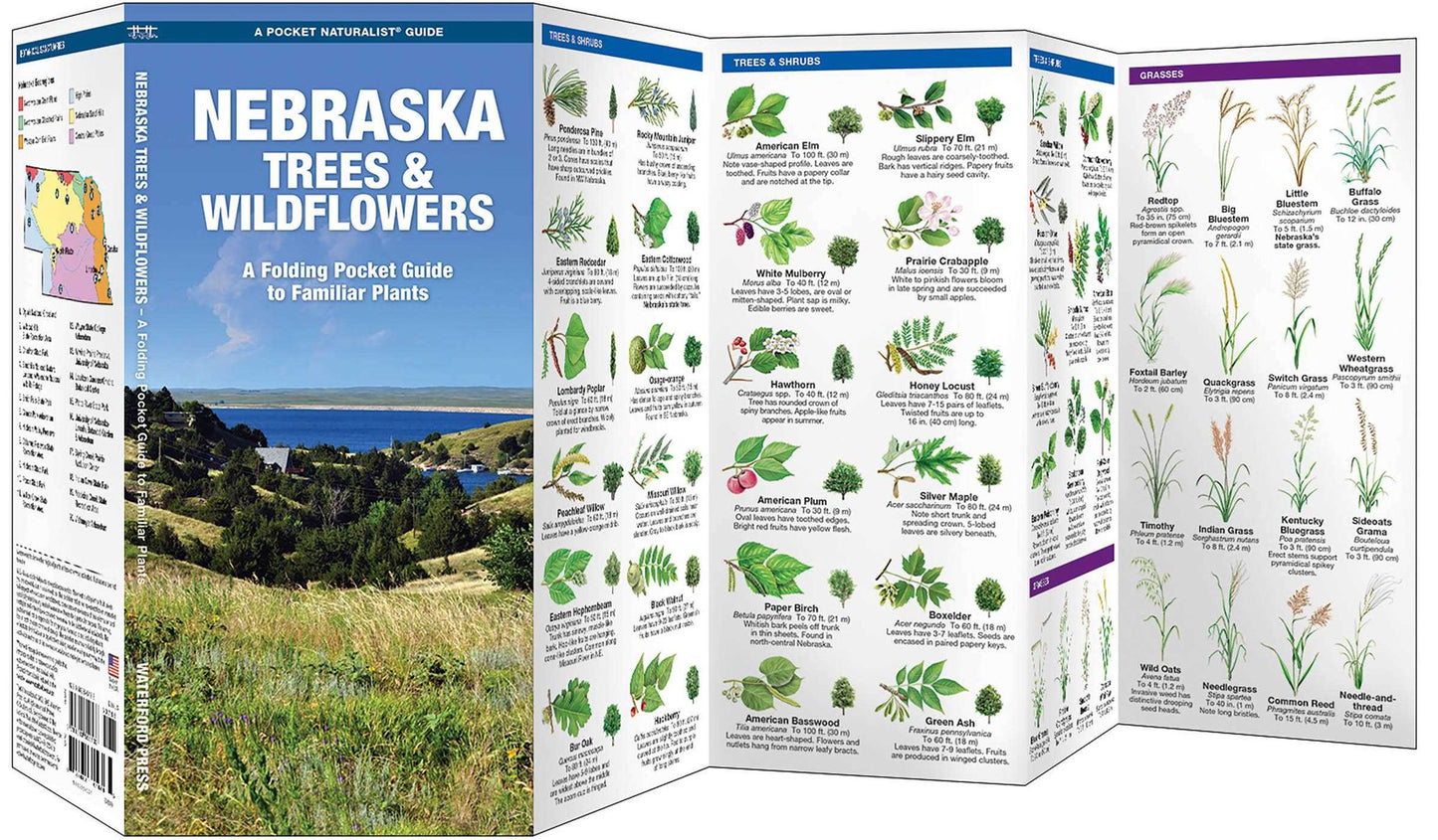 Nebraska Trees & Wildflowers: An Introduction to Familiar Species