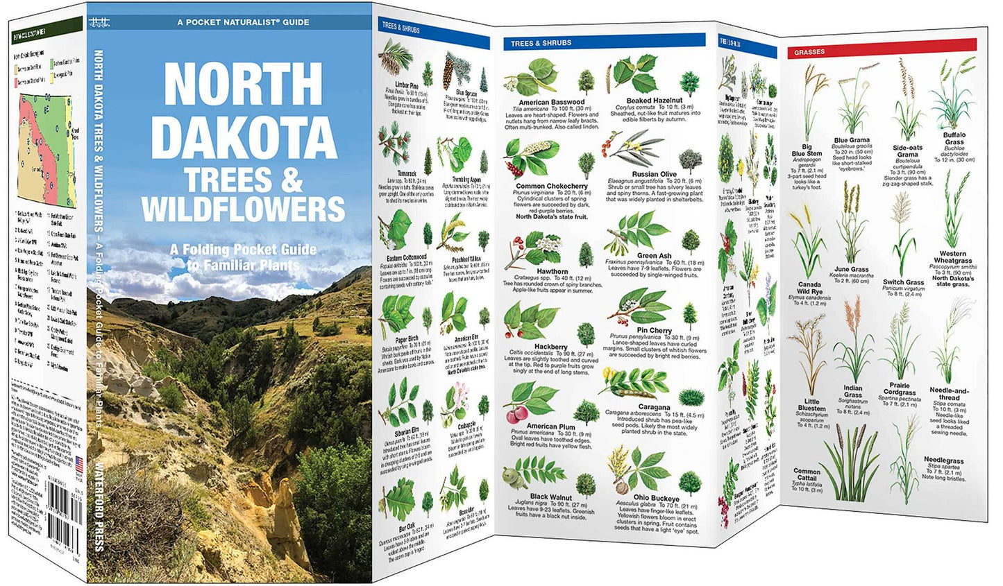 North Dakota Trees & Wildflowers: An Introduction to Familiar Species