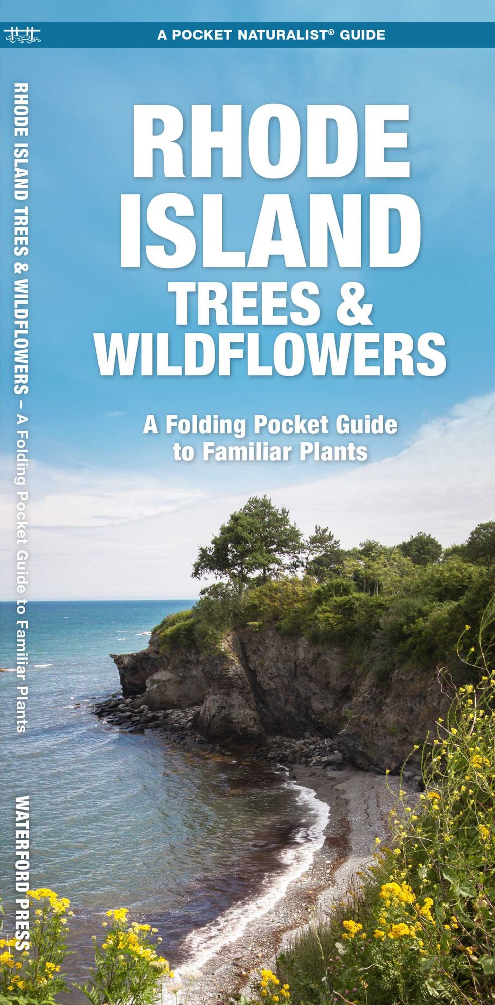 Rhode Island Trees & Wildflowers: An Introduction to Familiar Species