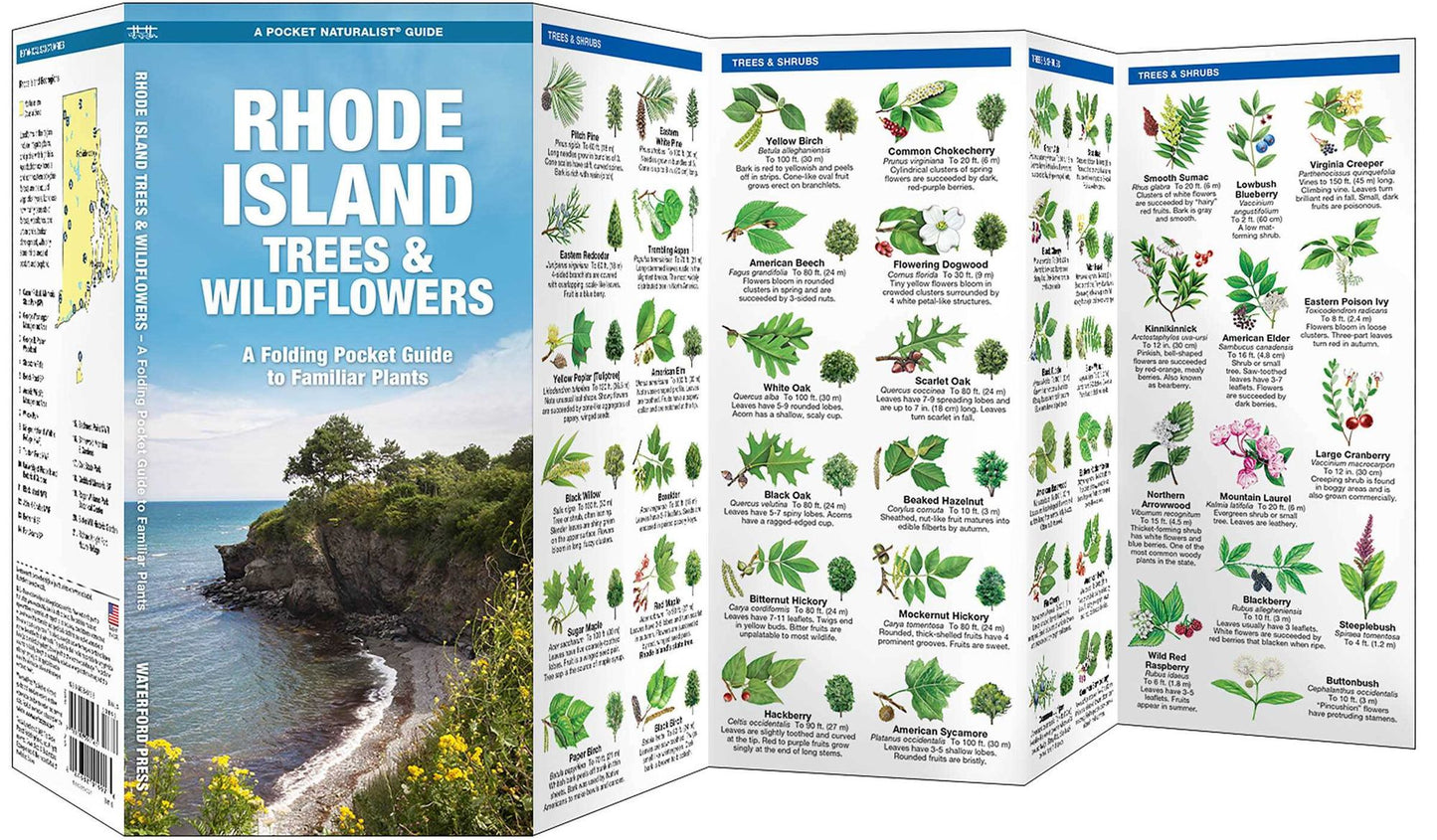 Rhode Island Trees & Wildflowers: An Introduction to Familiar Species
