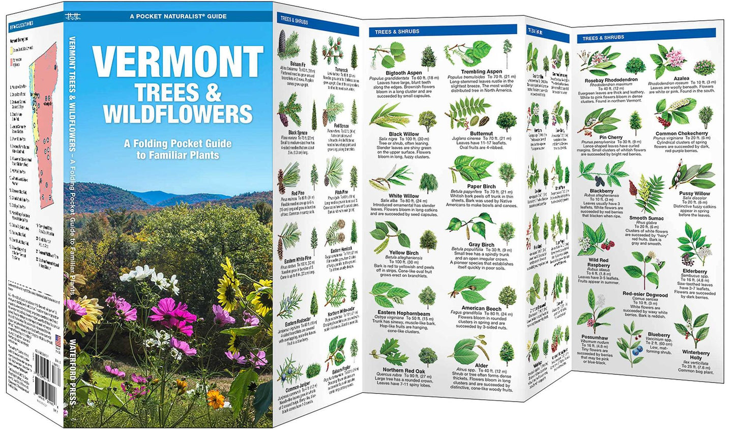 Vermont Trees & Wildflowers: An Introduction to Familiar Species