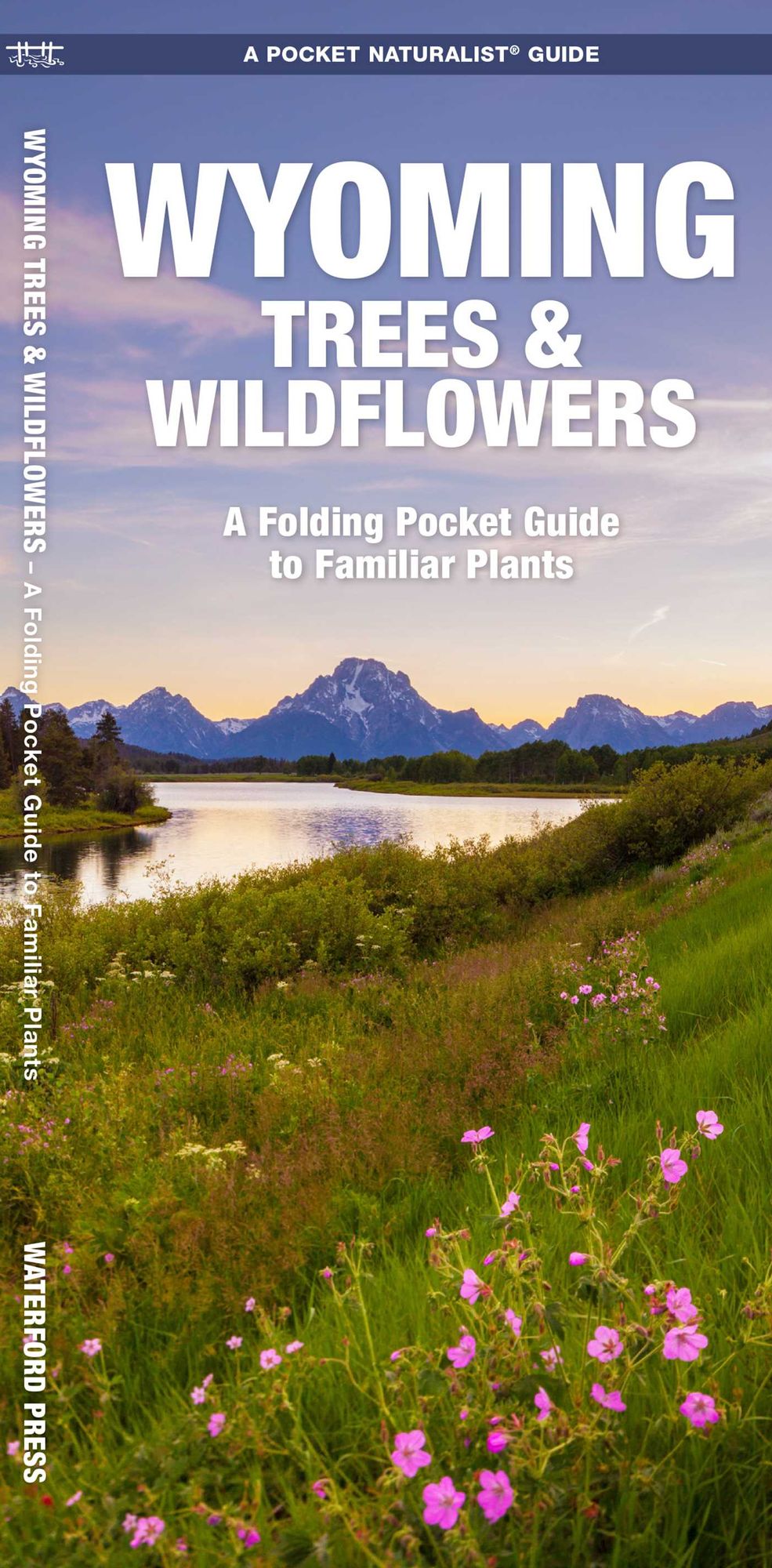 Wyoming Trees & Wildflowers: An Introduction to Familiar Species