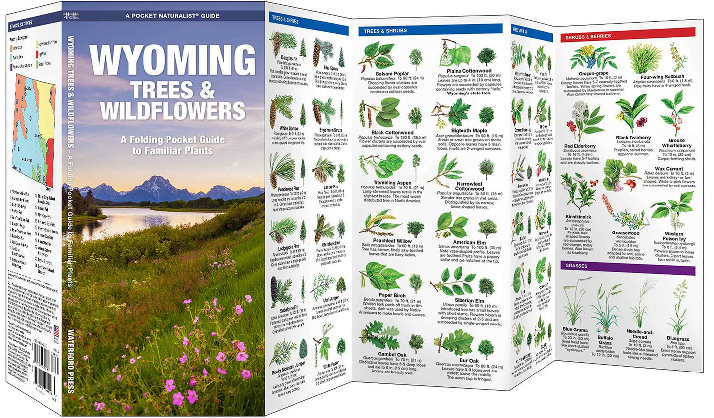Wyoming Trees & Wildflowers: An Introduction to Familiar Species