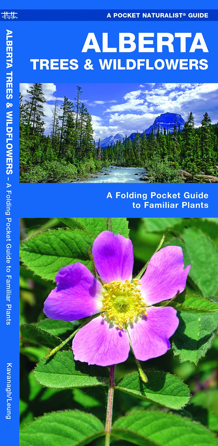 Alberta Trees & Wildflowers: An Introduction to Familiar Species