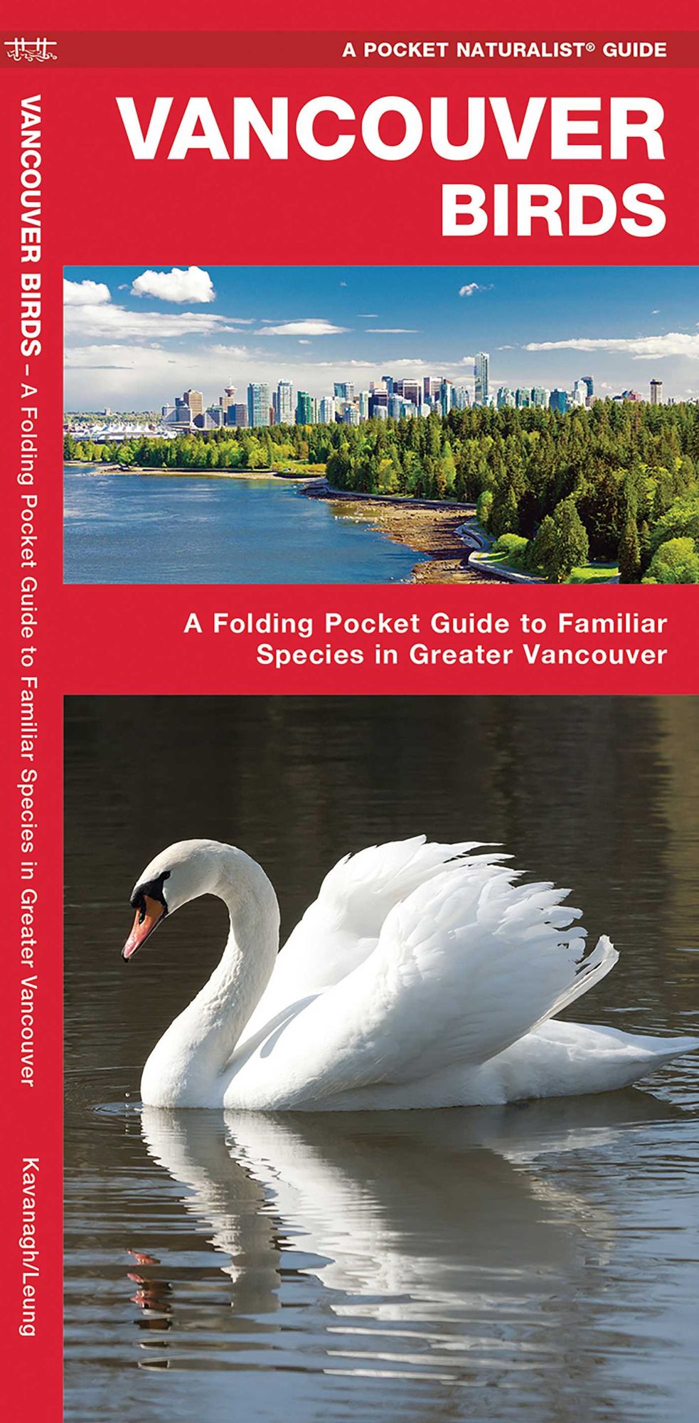 Vancouver Birds: An Introduction to Familiar Species