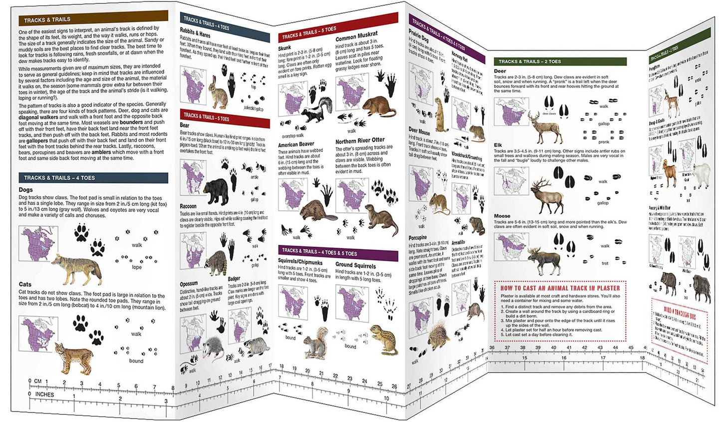 Animal Tracking: A Waterproof Pocket Guide to Animal Tracking & Behavior