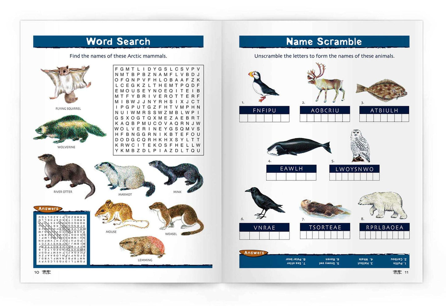 Arctic Wildlife Nature Activity Book