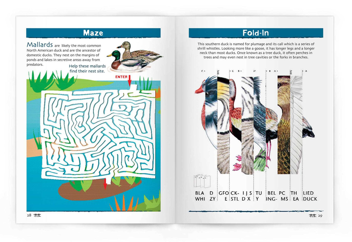 Ducks Nature Activity Book