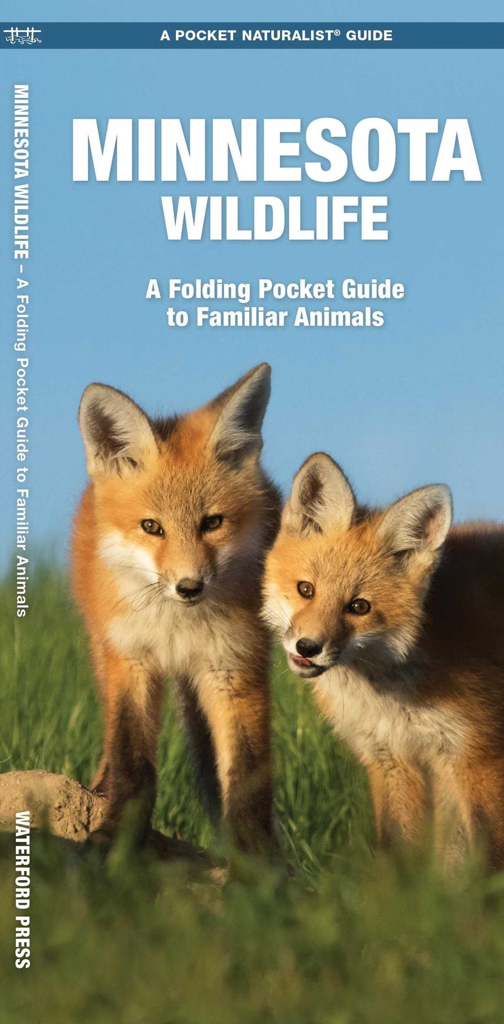 Minnesota Wildlife: An Introduction to Familiar Species