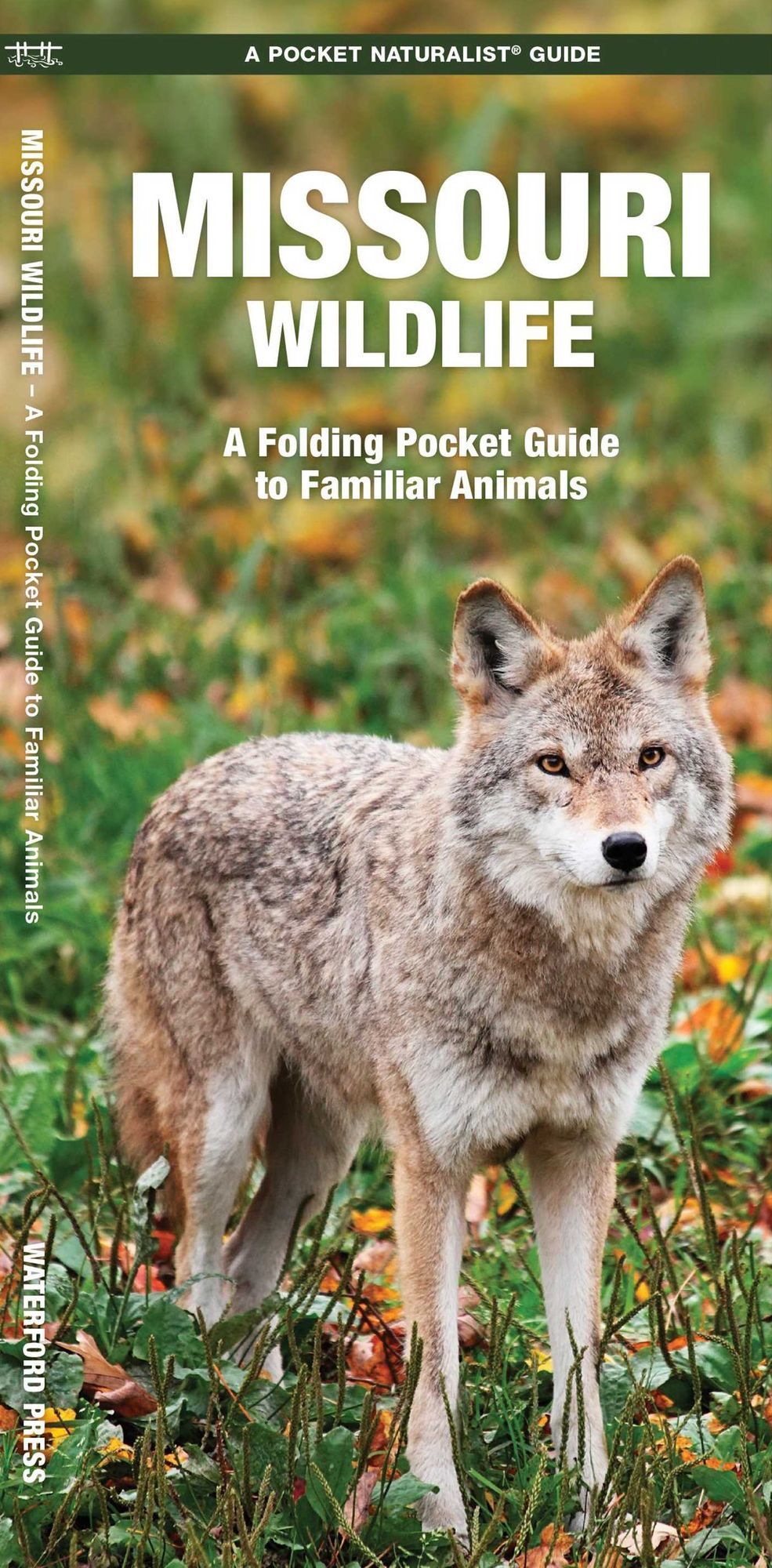 Missouri Wildlife: An Introduction to Familiar Species