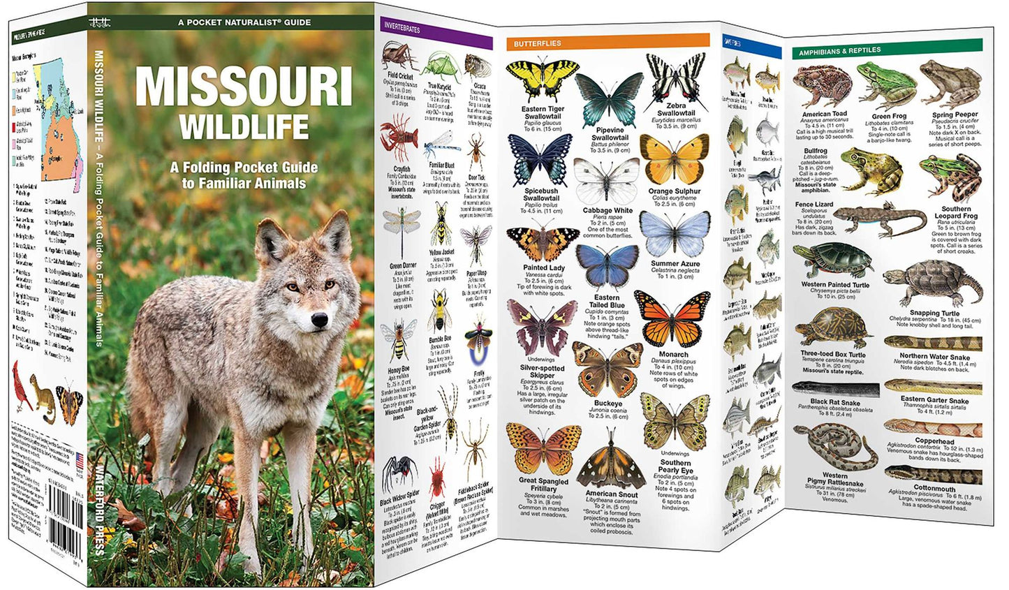 Missouri Wildlife: An Introduction to Familiar Species