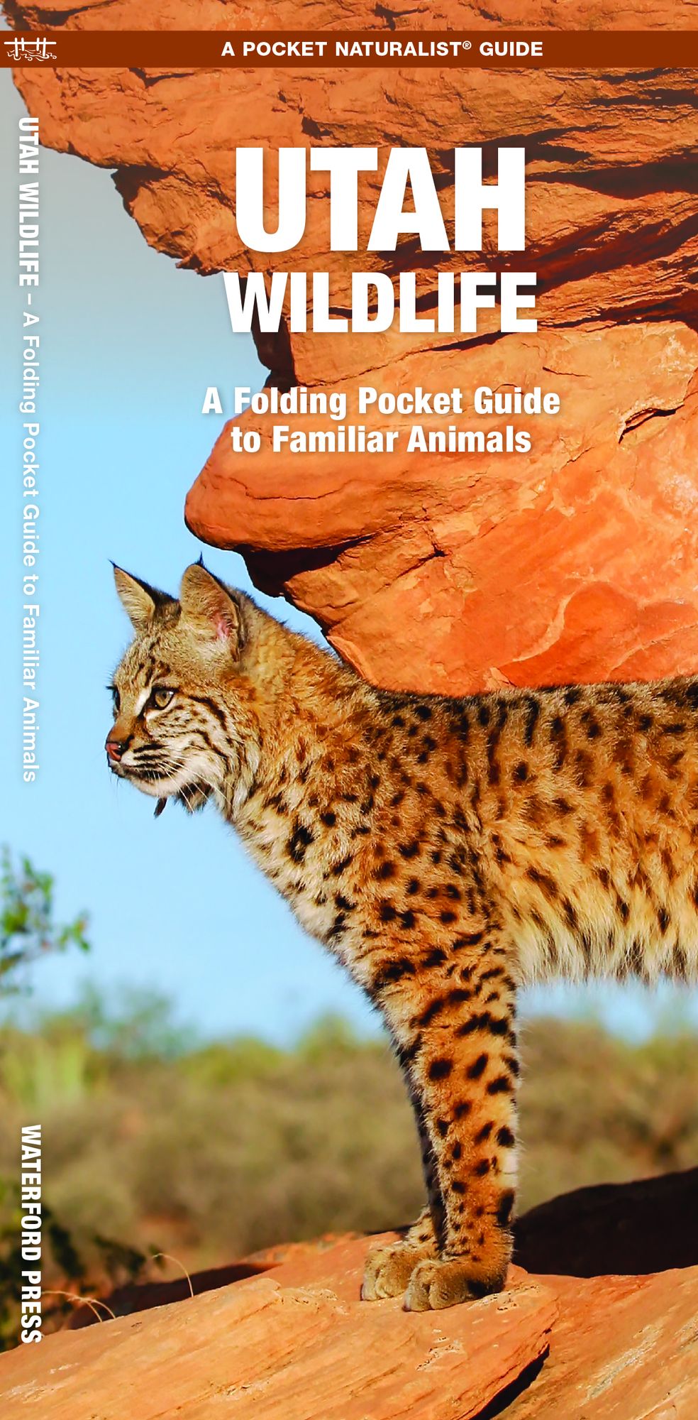 Pocket Naturalist Guide to Utah Wildlife: An Introduction to Familiar Species