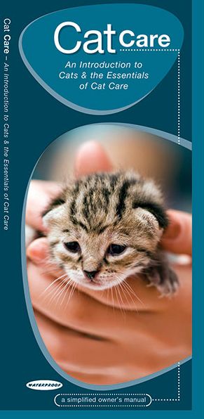 Cat Care: An Introduction to Cats & the Essentials of Cat Care