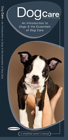 Dog Care: An Introduction to Dogs & the Essentials of Dog Care