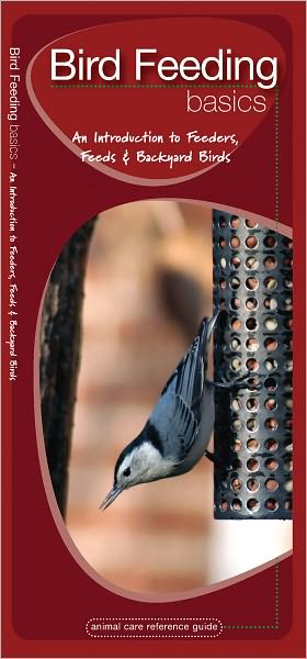 Bird Feeding Basics: An Introduction to Feeders, Feeds & Backyard Birds