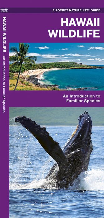 Pocket Naturalist Guide to Hawaii Wildlife: An Introduction to Familiar Species