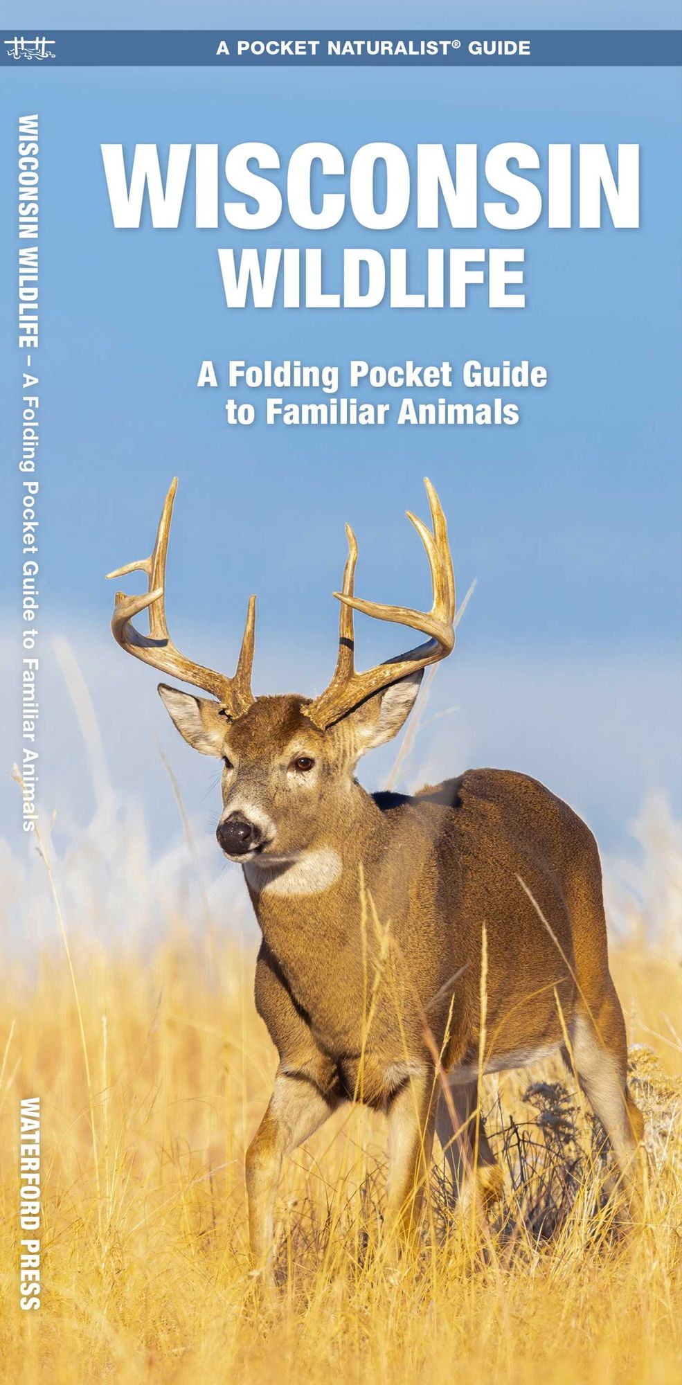 Wisconsin Wildlife: An Introduction to Familiar Species