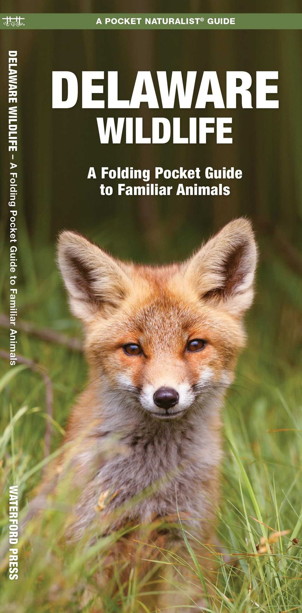 Delaware Wildlife: An Introduction to Familiar Species