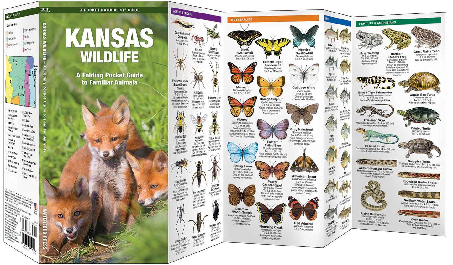 Kansas Wildlife: An Introduction to Familiar Species