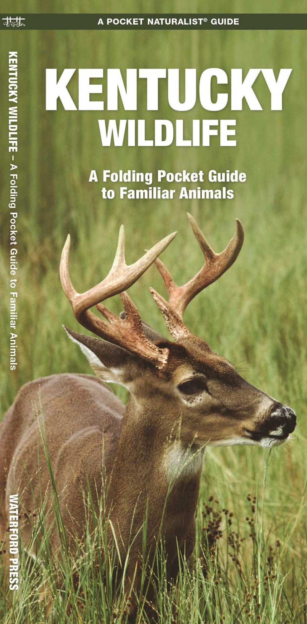 Kentucky Wildlife: An Introduction to Familiar Species