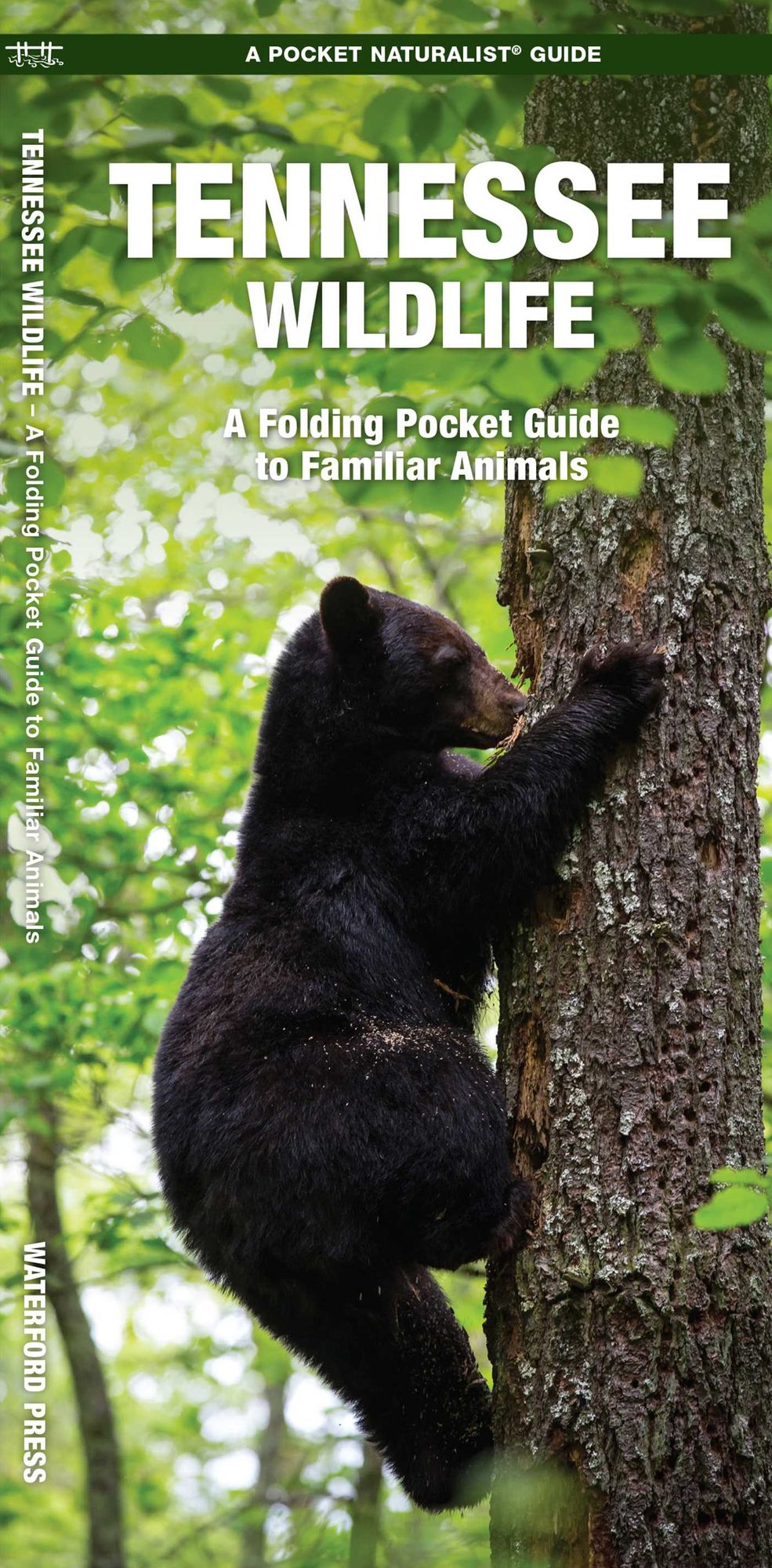 Tennessee Wildlife: An Introduction to Familiar Species