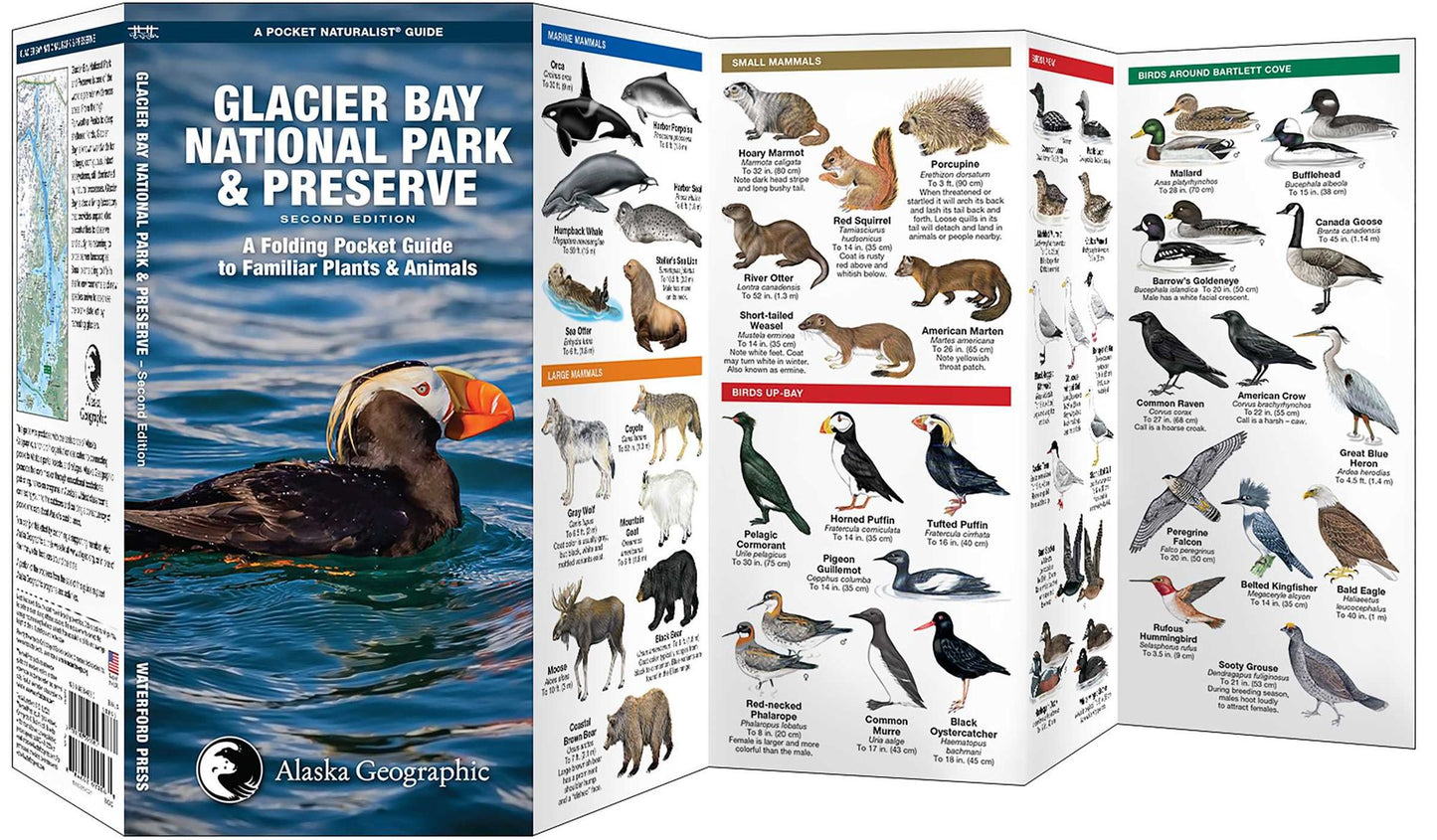 Glacier Bay National Park & Preserve: A Folding Pocket Guide to Familiar Plants & Animals
