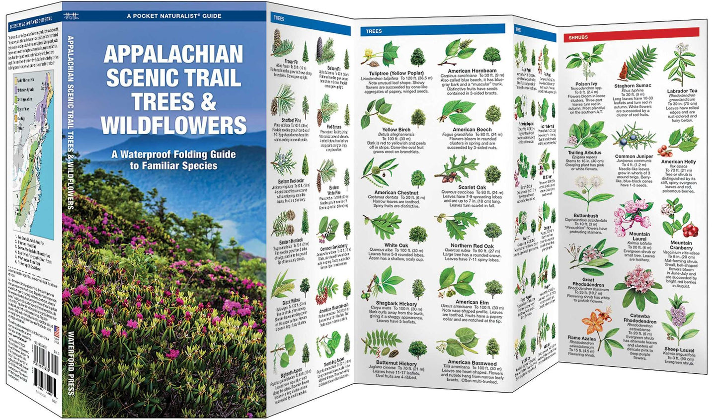 Appalachian Trail Trees & Wildflowers: A Waterproof Pocket Guide to Familiar Species