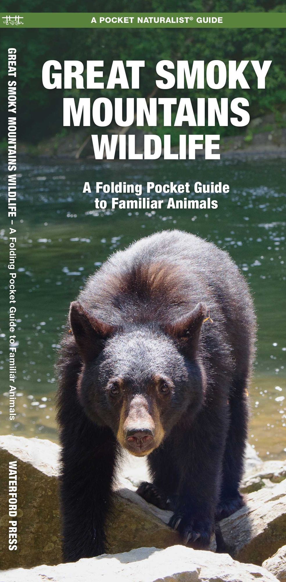 Great Smoky Mountains Wildlife: An Introduction to Familiar Species