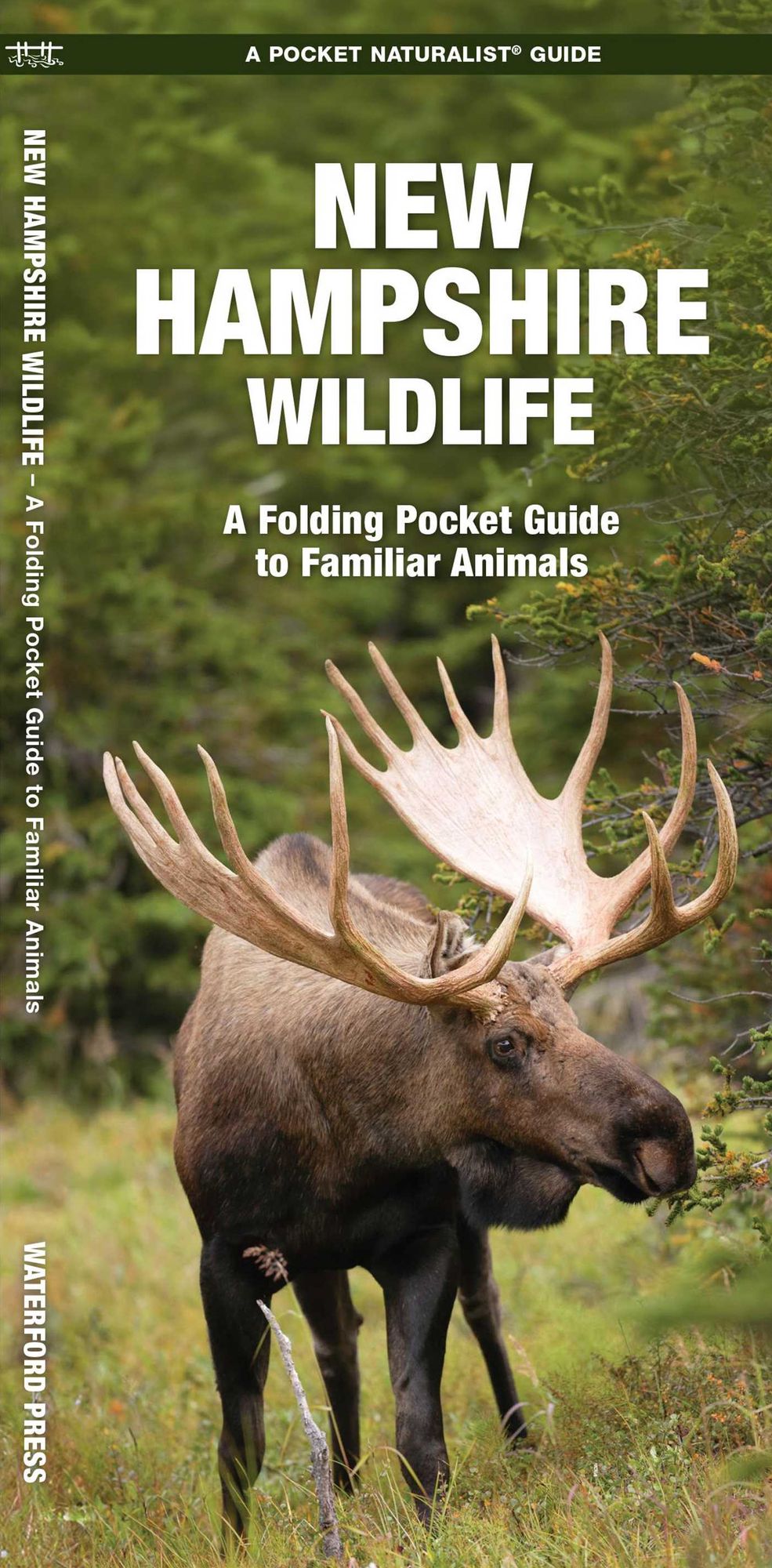 New Hampshire Wildlife: An Introduction to Familiar Species