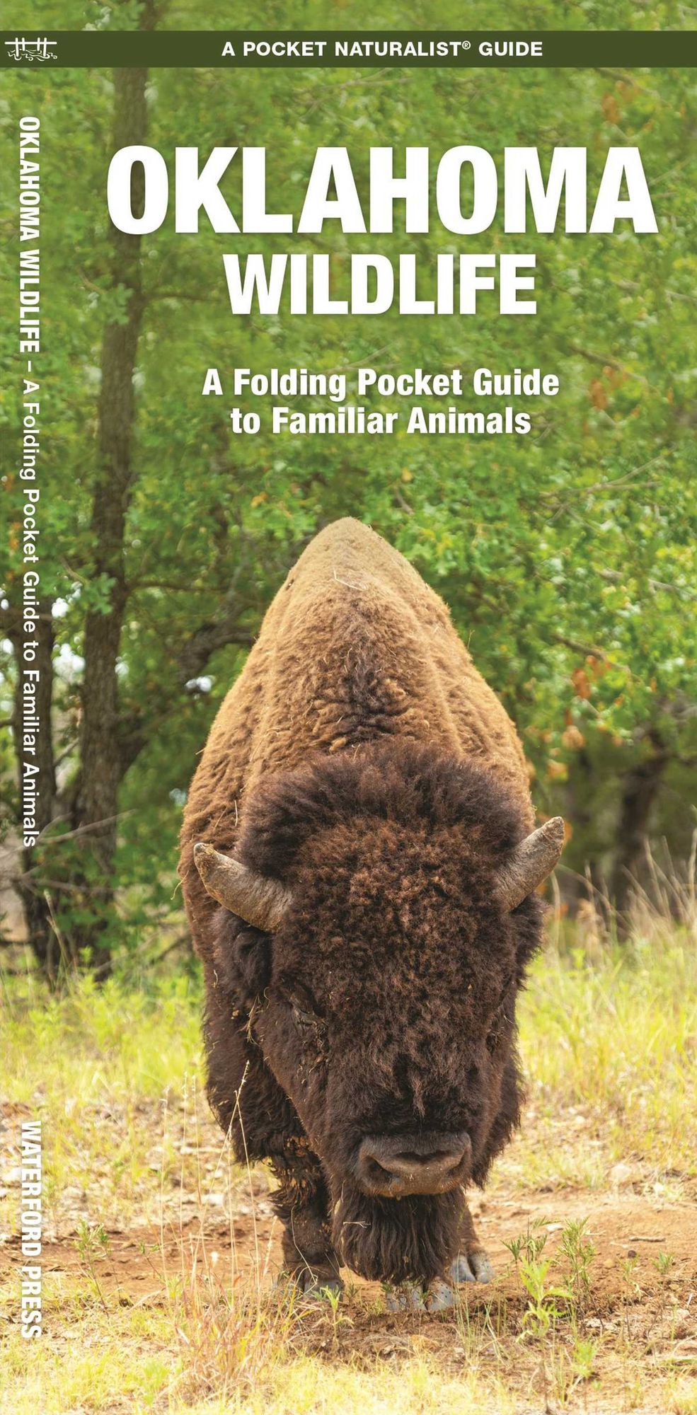 Oklahoma Wildlife: An Introduction to Familiar Species