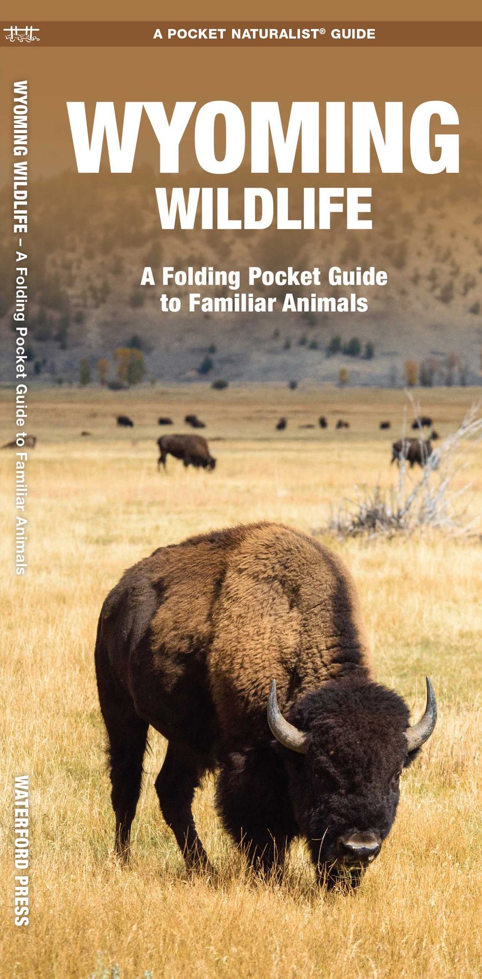 Wyoming Wildlife: An Introduction to Familiar Species