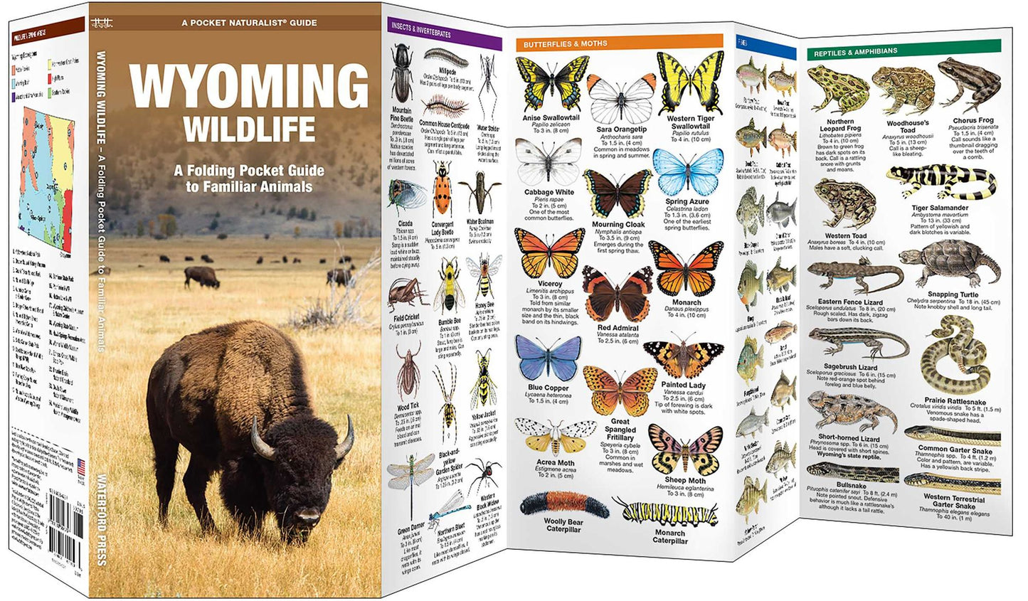 Wyoming Wildlife: An Introduction to Familiar Species