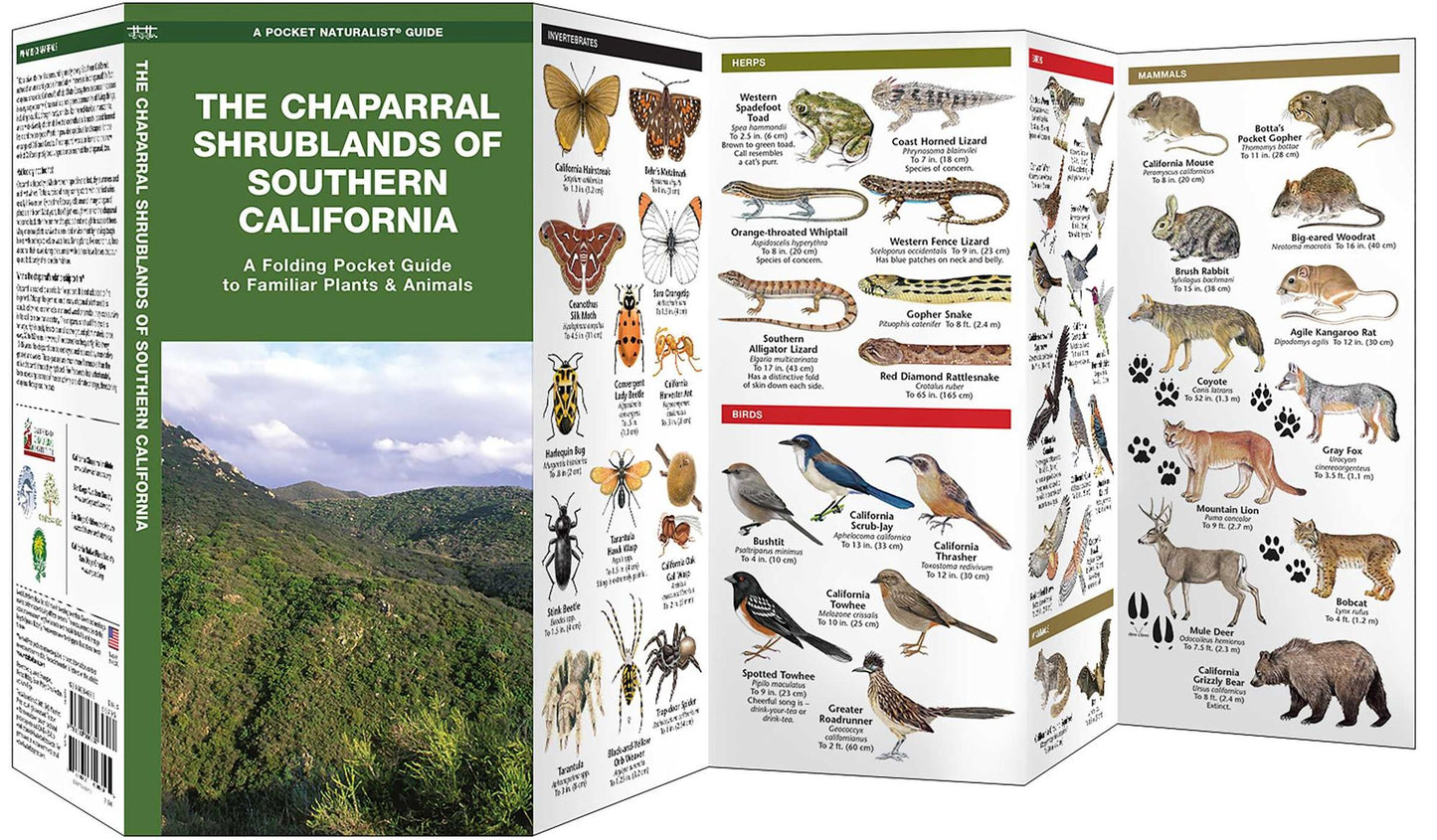 The Chaparral Shrublands of Southern California: An Introduction to Familiar Species