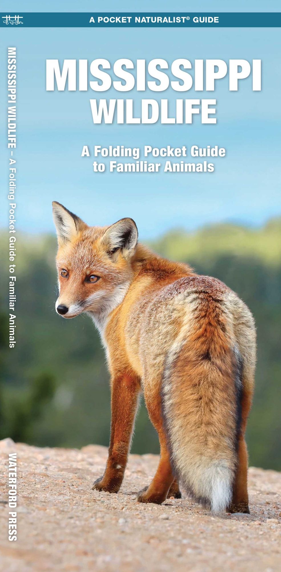 Mississippi Wildlife: An Introduction to Familiar Species