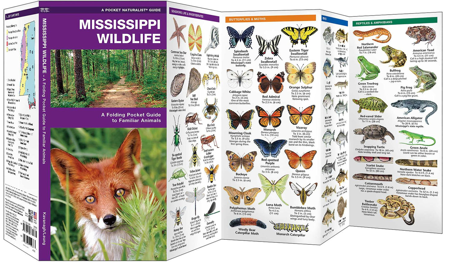 Mississippi Wildlife: An Introduction to Familiar Species