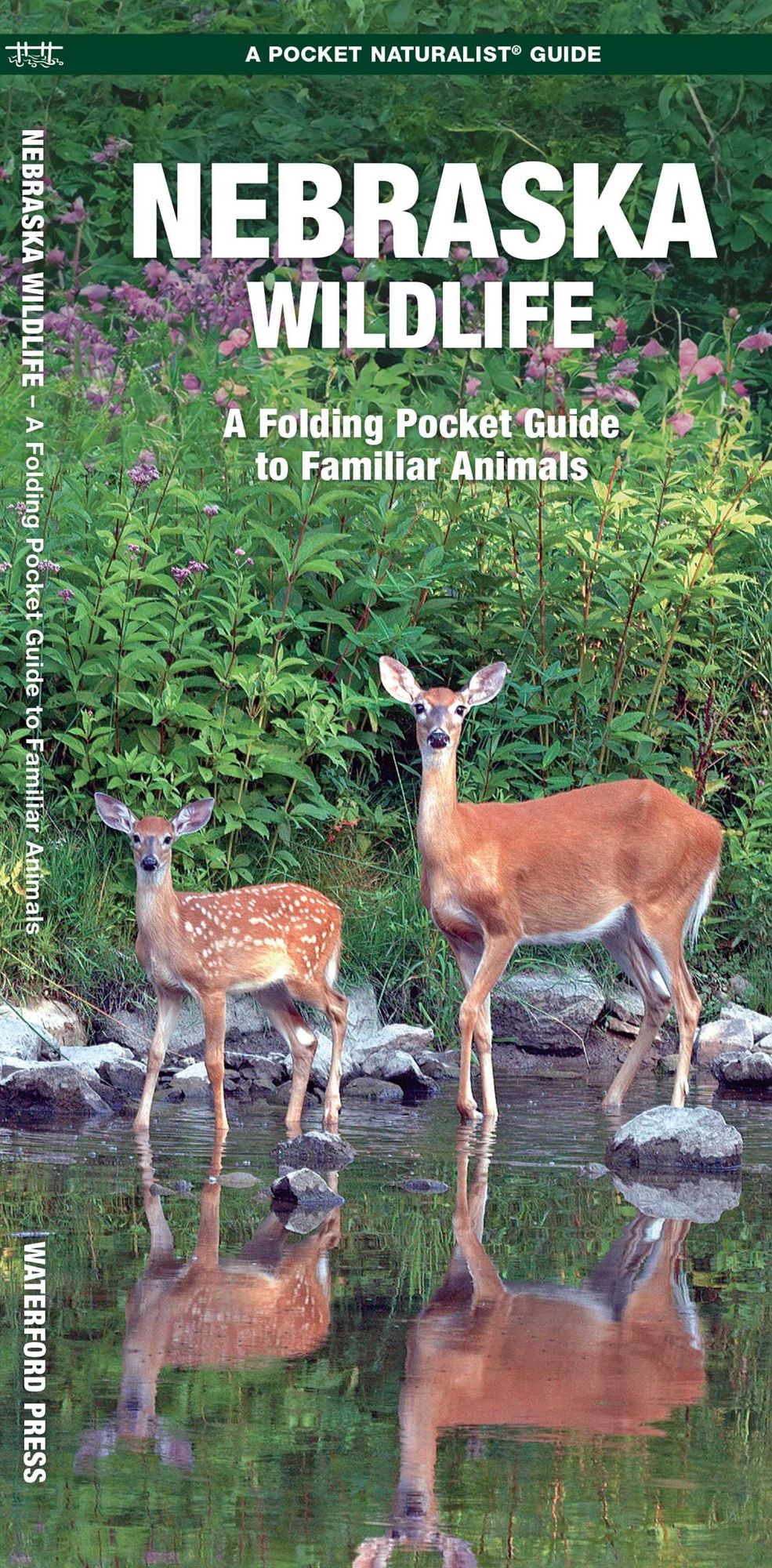 Nebraska Wildlife: An Introduction to Familiar Species