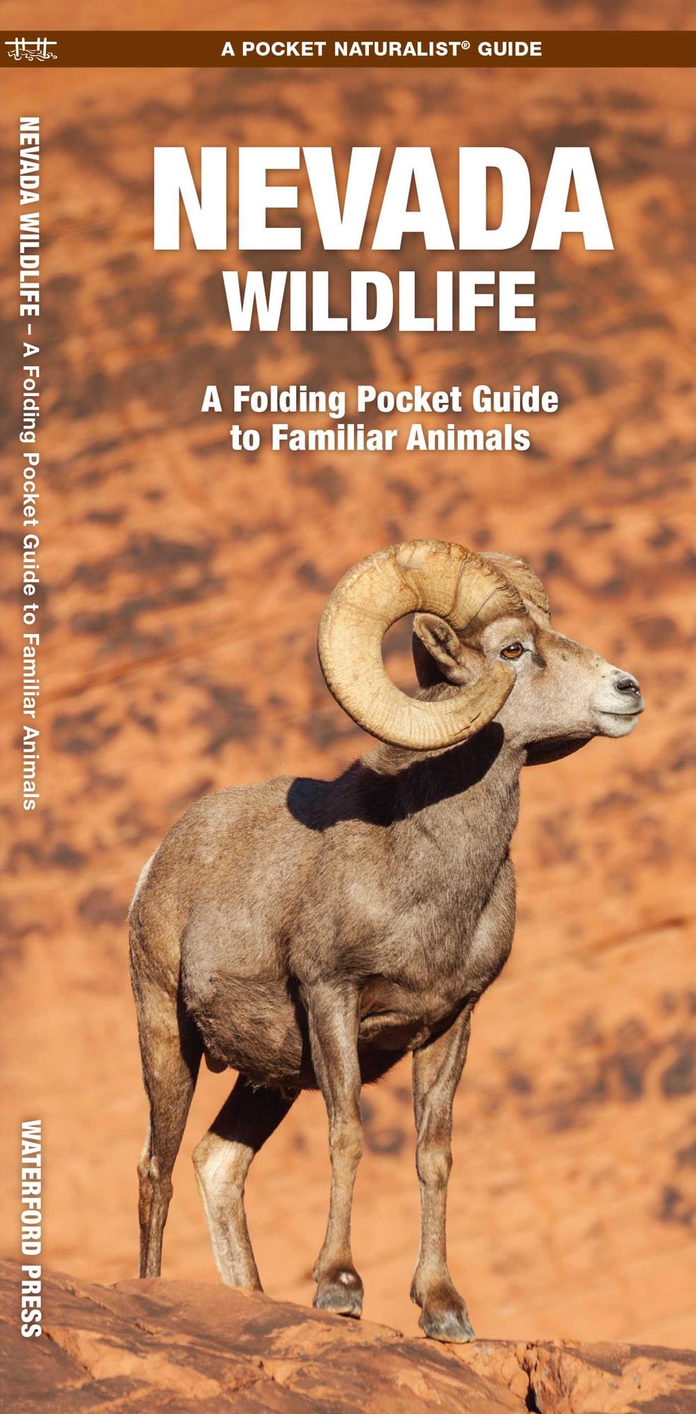 Nevada Wildlife: An Introduction to Familiar Species