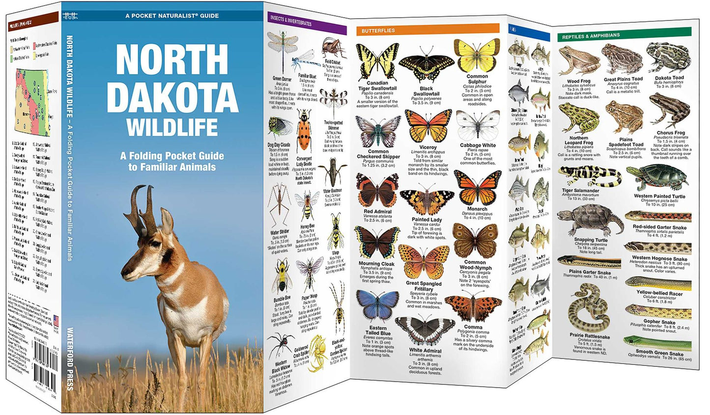 North Dakota Wildlife: An Introduction to Familiar Species
