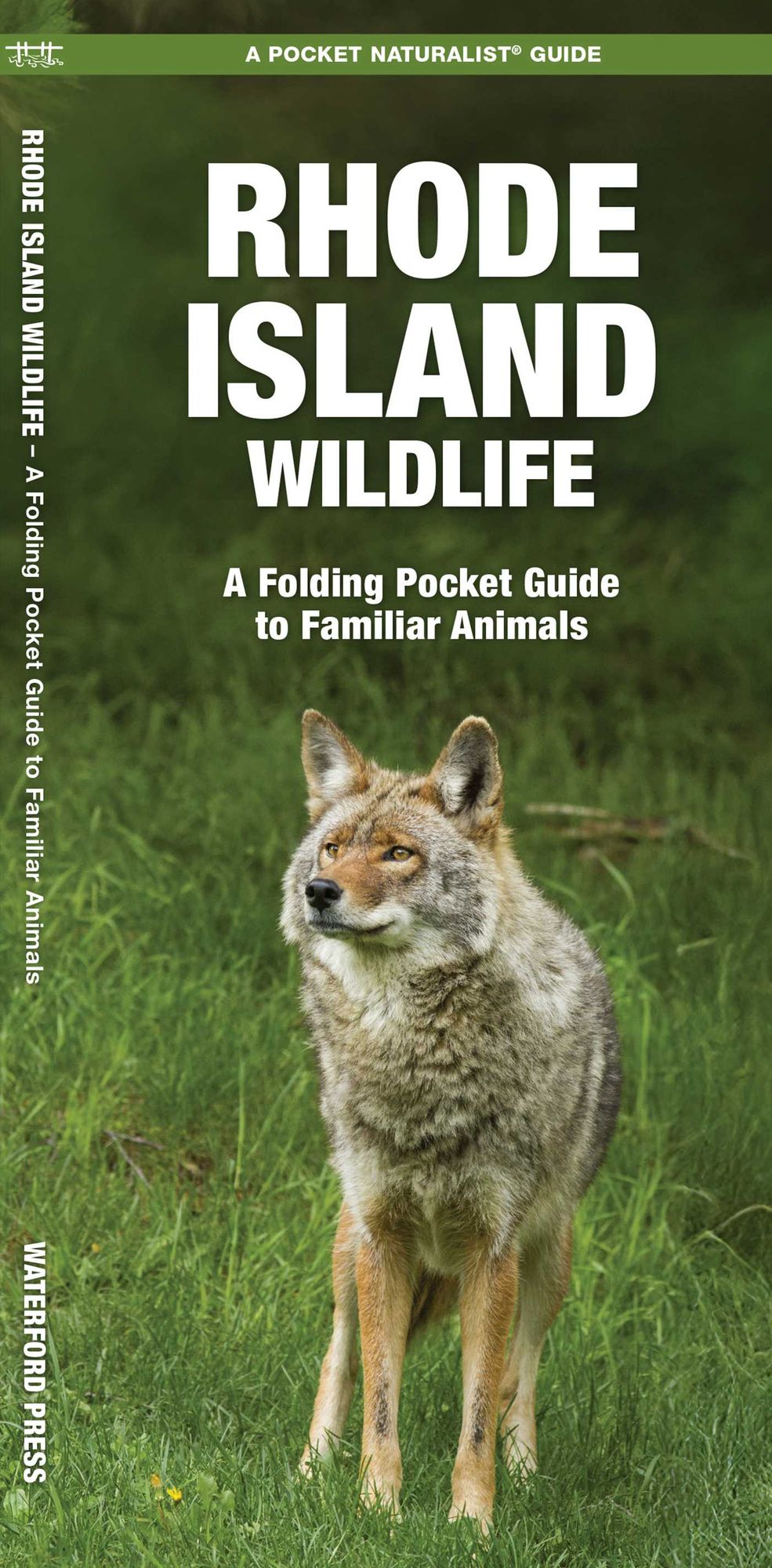 Rhode Island Wildlife: An Introduction to Familiar Species