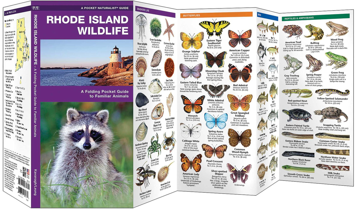 Rhode Island Wildlife: An Introduction to Familiar Species