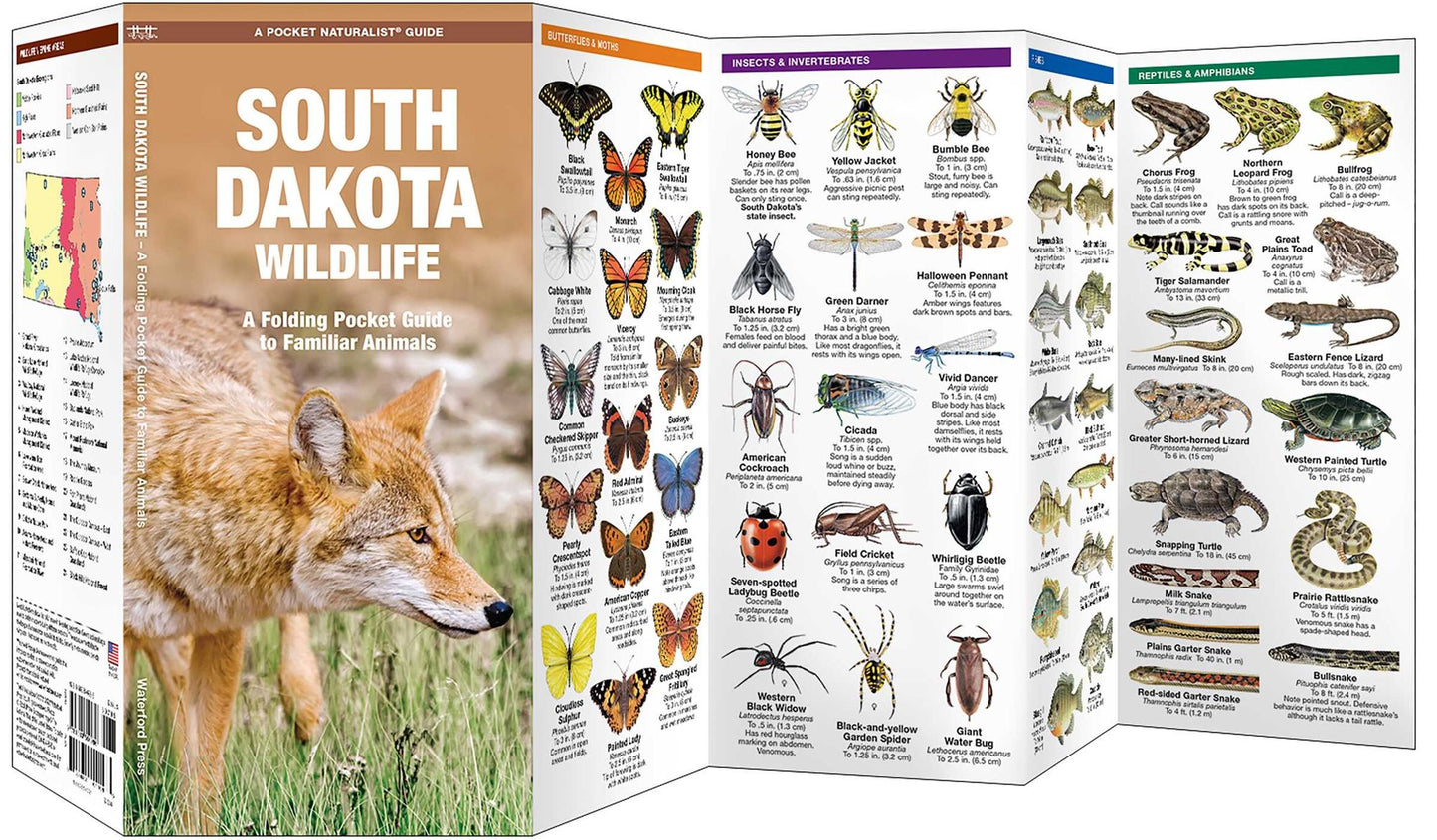 South Dakota Wildlife: An Introduction to Familiar Species