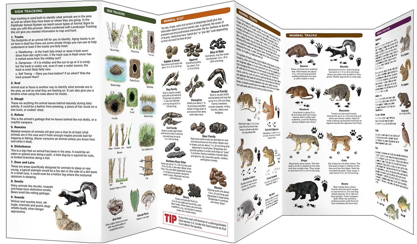 Basic Tracking: A Waterproof Pocket Guide to Familiar Animal Sign in the Eastern Woodlands