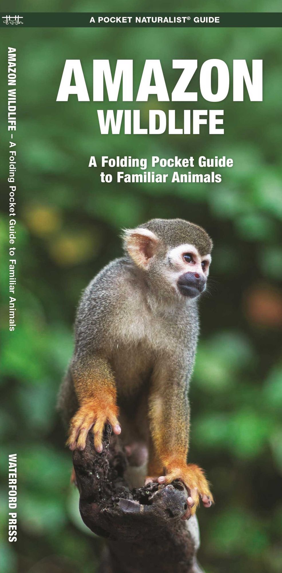 Amazon Wildlife: A Waterproof Pocket Guide to Familiar Species