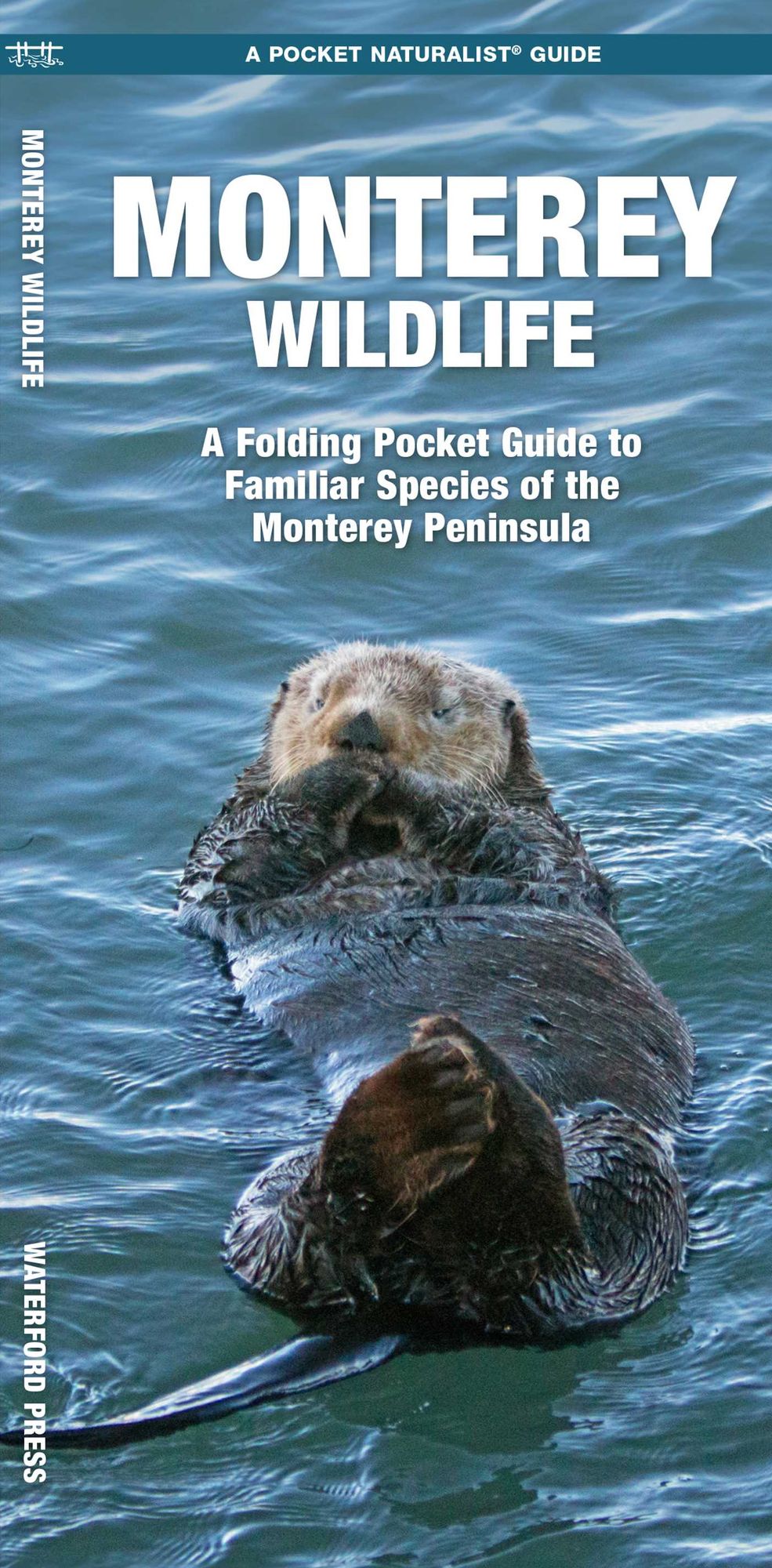 Monterey Wildlife: A Folding Pocket Guide to Familiar Species of the Monterey Peninsula