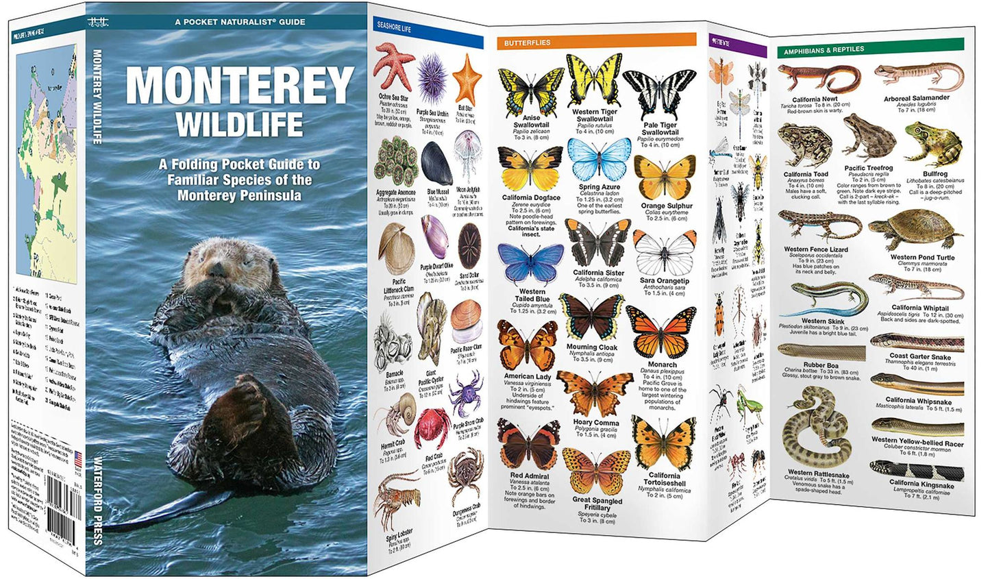 Monterey Wildlife: A Folding Pocket Guide to Familiar Species of the Monterey Peninsula
