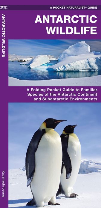 Antarctic Wildlife: A Folding Pocket Guide to Familiar Species of the Antarctic Continent and Subantarctic Environments