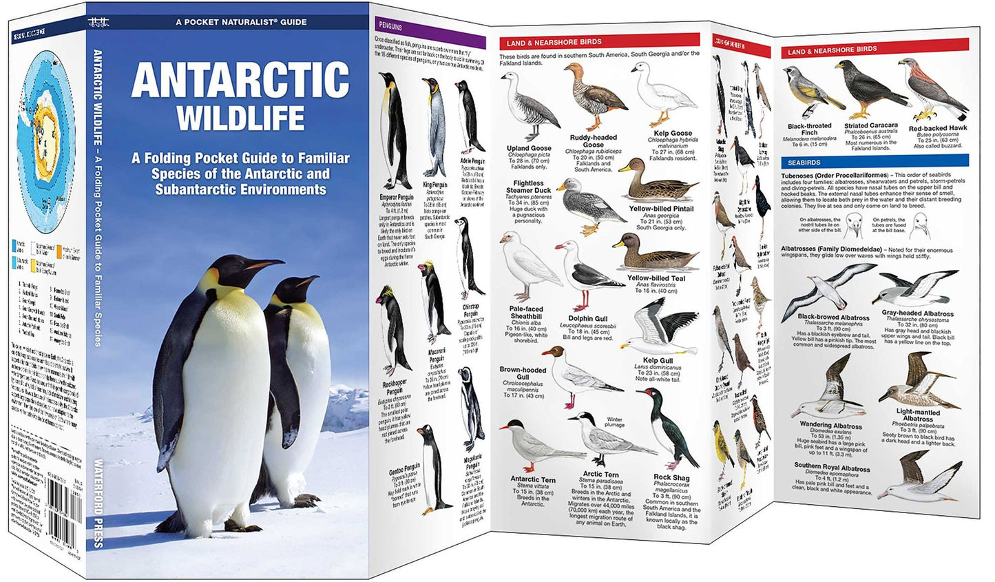 Antarctic Wildlife: A Folding Pocket Guide to Familiar Species of the Antarctic Continent and Subantarctic Environments
