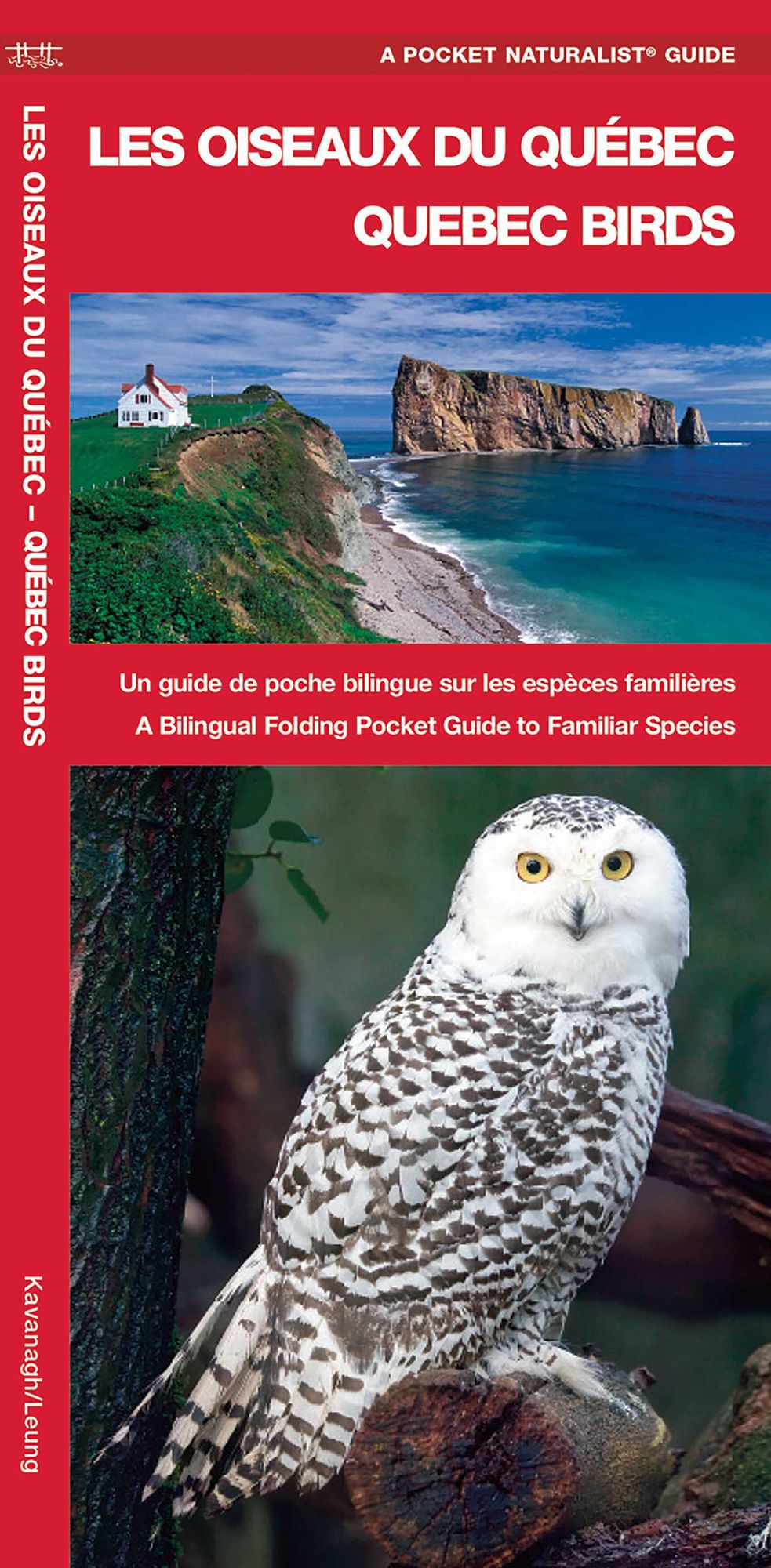 Quebec Birds: A Bilingual Folding Pocket Guide to Familiar Species